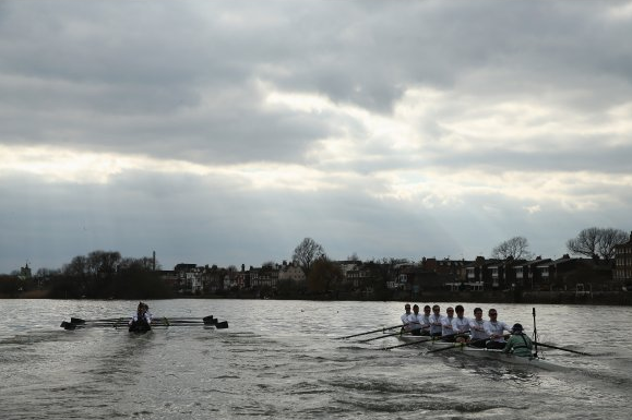 Chiswick Eyot