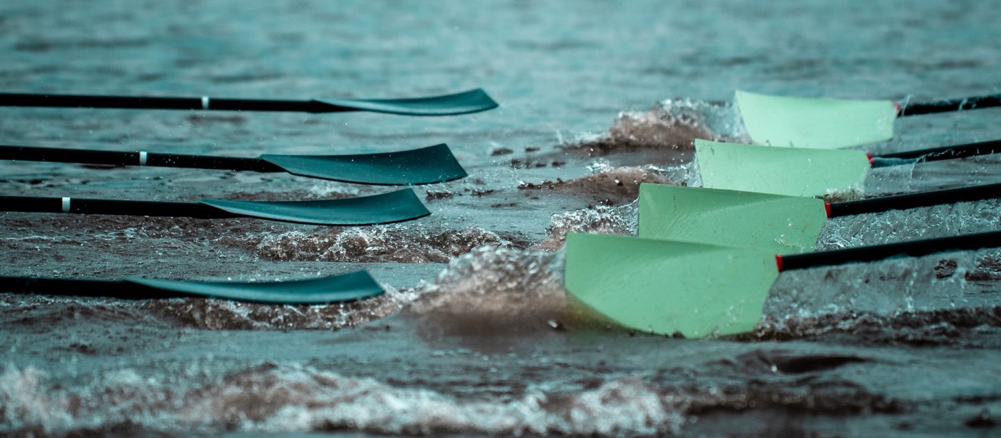 Dark blue and light blue blades