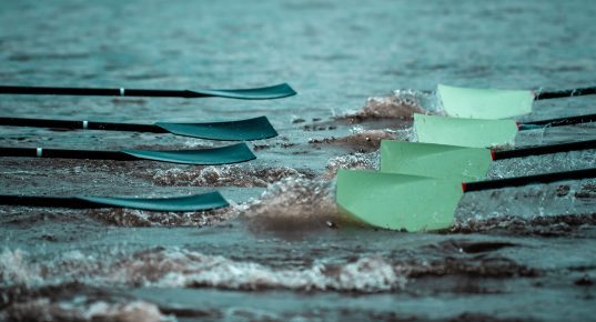 Dark blue and light blue blades